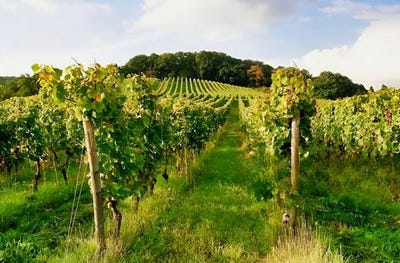 /international/fr/nogaro-midi-pyrenees-310100404858/