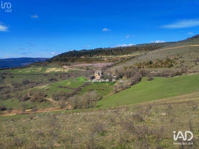 /international/fr/florac-languedoc-roussillon-310107372126/