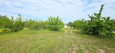/international/fr/cavillargues-languedoc-roussillon-310108652334/