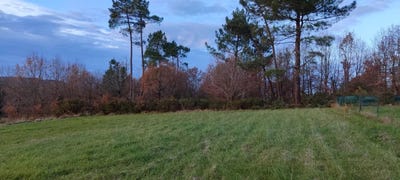 /international/fr/lanquais-aquitaine-310104173252/