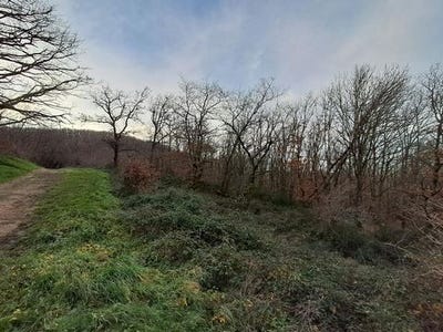 /international/fr/chasselay-rhone-310104863326/