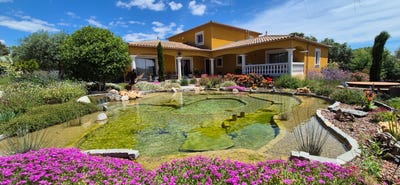 /international/fr/argelliers-languedoc-roussillon-310109170784/?lang=it