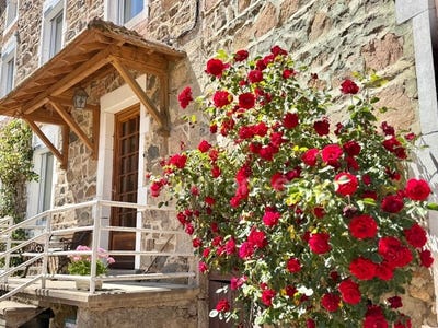 /international/fr/cherier-rhone-310109097226/?lang=de