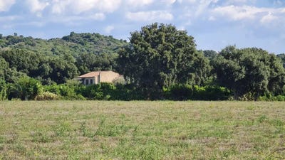 /international/fr/antisanti-corsica-310105689920/