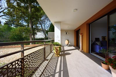 /international/fr/nimes-languedoc-roussillon-310108553665/