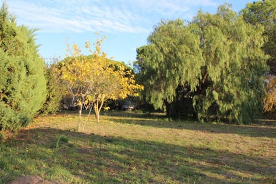 /international/fr/marseillan-languedoc-roussillon-310101134774/?lang=en