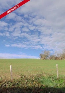 /international/fr/saint-nizier-de-fornas-rhone-310106545467/