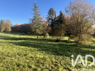 /international/fr/vigeois-limousin-310108776035/