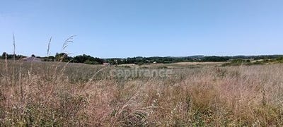 /international/fr/flaugeac-aquitaine-310100611721/