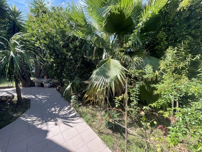 /international/fr/vias-languedoc-roussillon-310108261890/