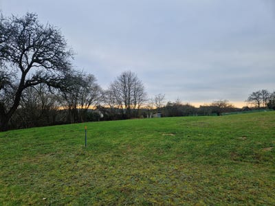 /international/fr/champagne-pays-de-la-loire-310098803615/