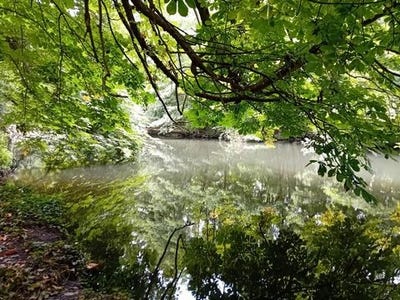 /international/fr/houdan-ile-de-france-310100661121/