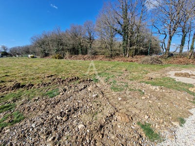 /international/fr/talmont-saint-hilaire-pays-de-la-loire-310104472611/