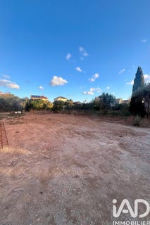 /international/fr/le-soler-languedoc-roussillon-310108002801/