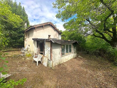 /international/fr/surjoux-lorraine-310101287847/?lang=zh-cn