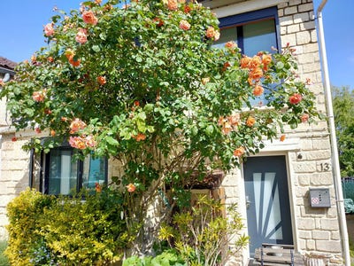 /international/fr/13-rue-de-saint-germain-fourqueux-ile-de-france-310108188309/