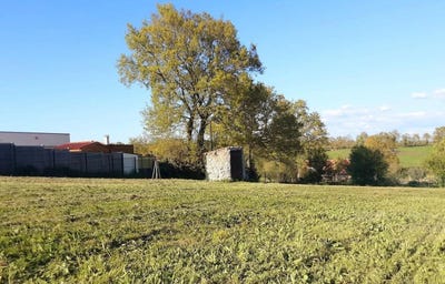 /international/fr/mortagne-sur-sevre-pays-de-la-loire-120095764732/