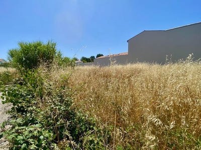 /international/fr/angoulins-charente-310108841951/