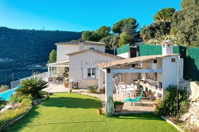 /international/fr/falicon-provence-alpes-cote-d-azur-310097007262/