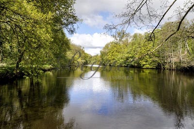 /international/fr/poigny-la-foret-ile-de-france-120091587750/