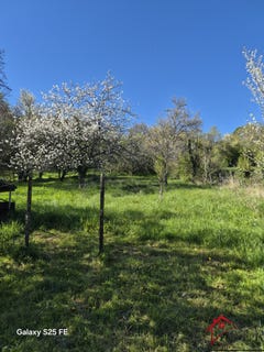 /international/fr/betoncourt-sur-mance-franche-comte-310107642302/