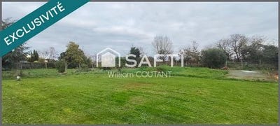 /international/fr/saint-cyr-en-talmondais-pays-de-la-loire-310104799835/