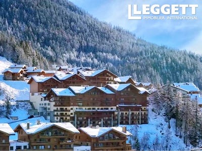 /international/fr/sainte-foy-tarentaise-rhone-310103444089/