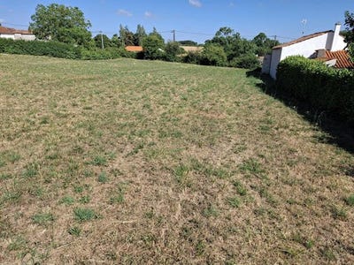 /international/fr/saint-michel-le-cloucq-pays-de-la-loire-310101444000/