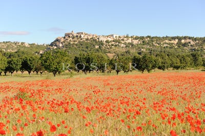 /international/fr/gordes-provence-alpes-cote-d-azur-310098729206/