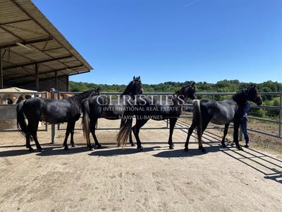 /international/fr/brantome-aquitaine-310108596415/