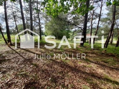 /international/fr/montaigut-le-blanc-limousin-310106750349/
