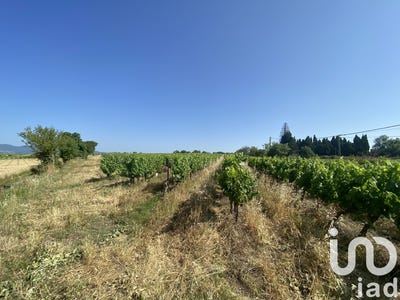 /international/fr/magalas-languedoc-roussillon-310100933511/
