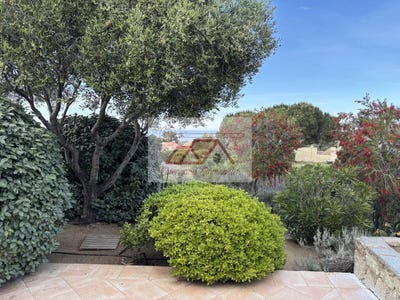 /international/fr/lumio-corsica-310107647924/