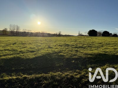 /international/fr/chevigny-en-valiere-burgundy-310103610463/