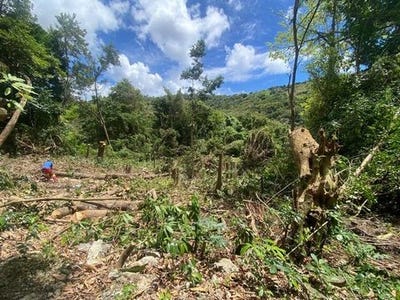 /international/fr/ste-luce-rhone-310100402980/