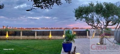 /international/fr/palavas-les-flots-languedoc-roussillon-310107814934/