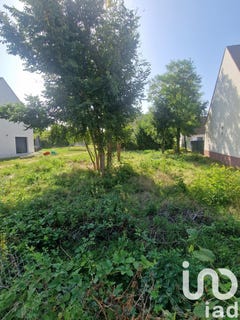 /international/fr/grez-sur-loing-ile-de-france-310101554364/