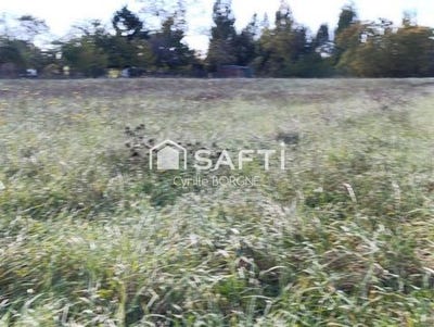 /international/fr/rille-centre-val-de-loire-310102989517/