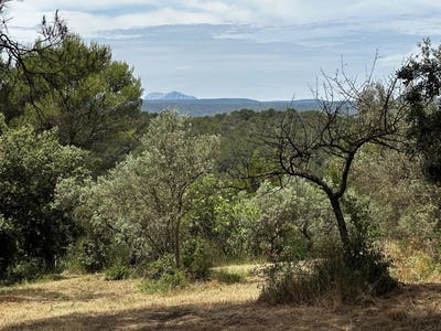 /international/fr/ponteves-provence-alpes-cote-d-azur-310110035770/