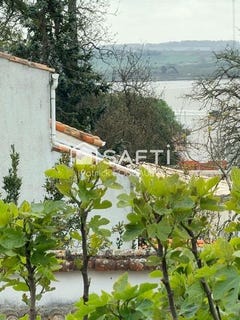 /international/fr/meschers-sur-gironde-charente-310107648718/