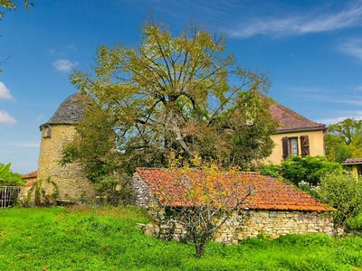/international/fr/catus-midi-pyrenees-310104464202/