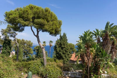 /international/fr/roquebrune-cap-martin-hh-15656077-roquebrune-cap-martin-provence-alpes-cote-d-azur-310100952364/?lang=zh-cn