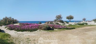 /international/fr/saintes-maries-de-la-mer-provence-alpes-cote-d-azur-310105625717/
