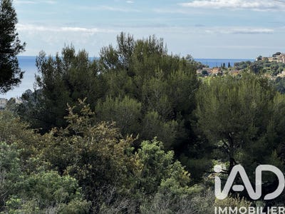 /international/fr/sainte-agnes-provence-alpes-cote-d-azur-310107967023/