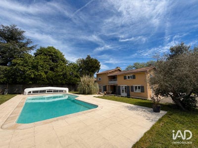 /international/fr/charrais-charente-310107738975/