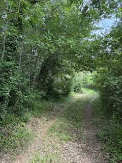 /international/fr/sardan-languedoc-roussillon-310107530133/