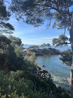 /international/fr/bandol-provence-alpes-cote-d-azur-310108452863/