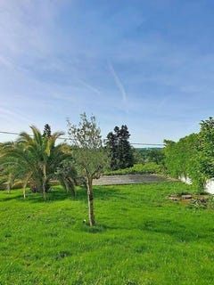 /international/fr/rochecorbon-centre-val-de-loire-310108405095/