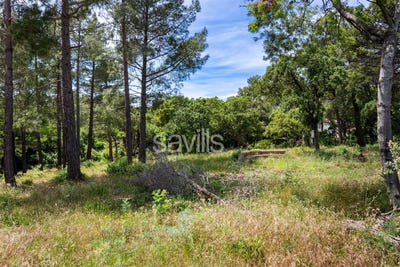 /international/fr/grimaud-provence-alpes-cote-d-azur-310108329985/