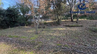 /international/fr/ceret-languedoc-roussillon-310100605073/